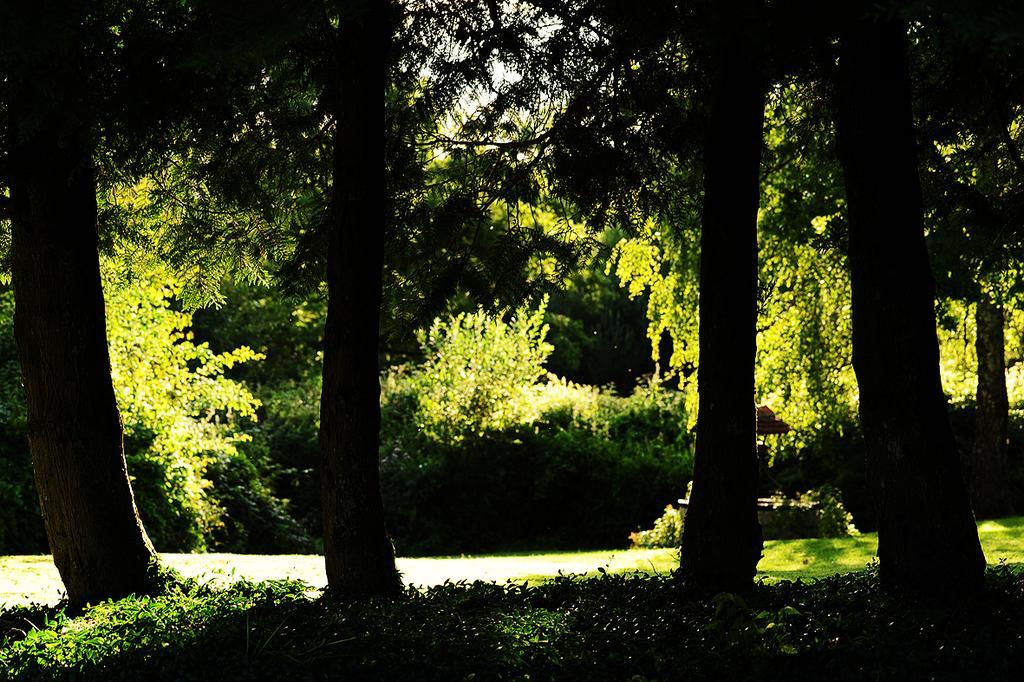 Kimaro Farmhouse Colméry Dış mekan fotoğraf